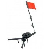 žieminė vėliavėlė